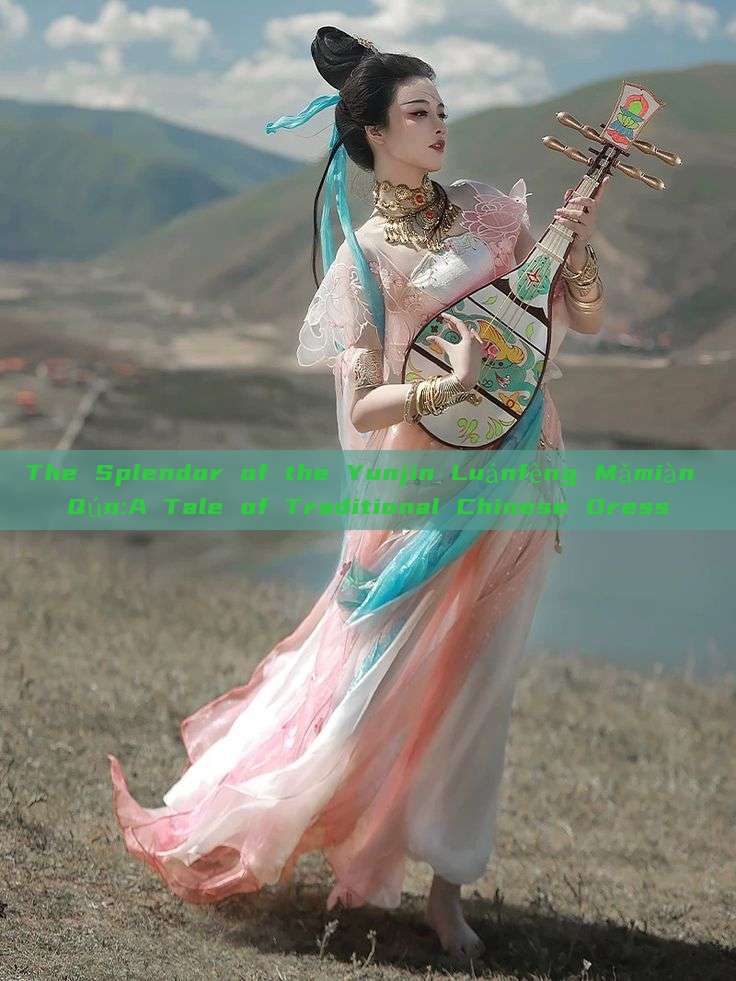 The Splendor of the Yunjin Luánfèng Mǎmiàn Qún:A Tale of Traditional Chinese Dress The Splendor of the Yunjin Luánfèng Mǎmiàn Qún:A Tale of Traditional Chinese Dress