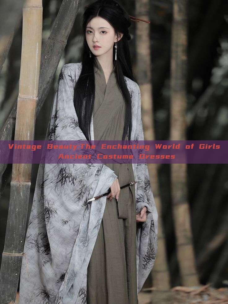 Vintage Beauty:The Enchanting World of Girls Ancient Costume Dresses Vintage Beauty:The Enchanting World of Girls Ancient Costume Dresses