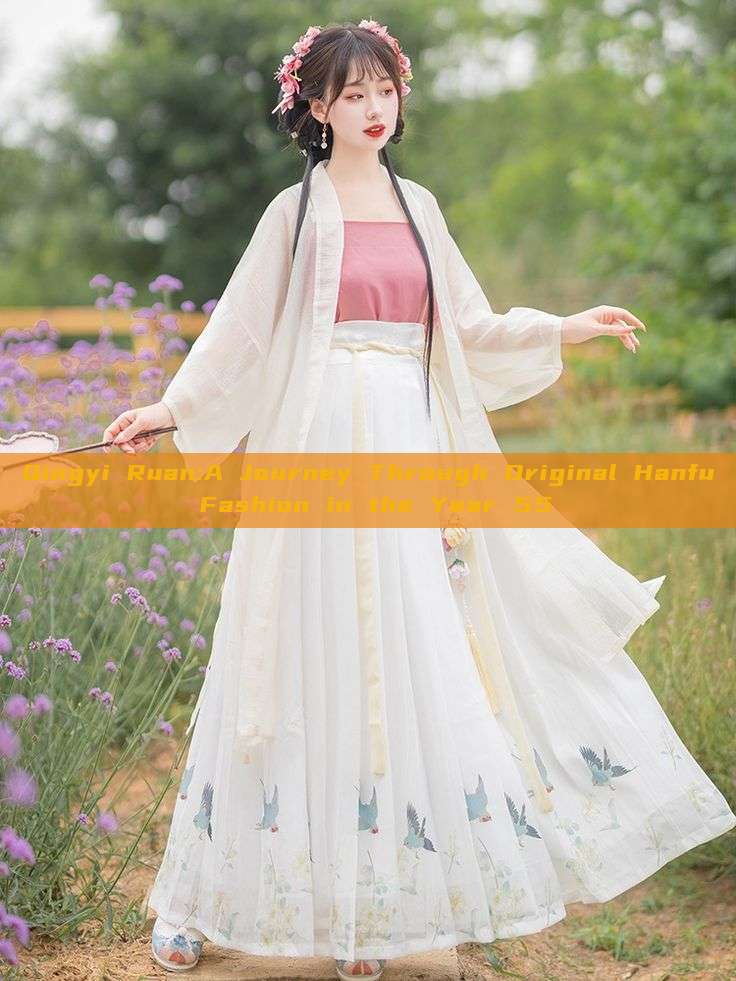 Qingyi Ruan:A Journey Through Original Hanfu Fashion in the Year 55 Qingyi Ruan:A Journey Through Original Hanfu Fashion in the Year 55