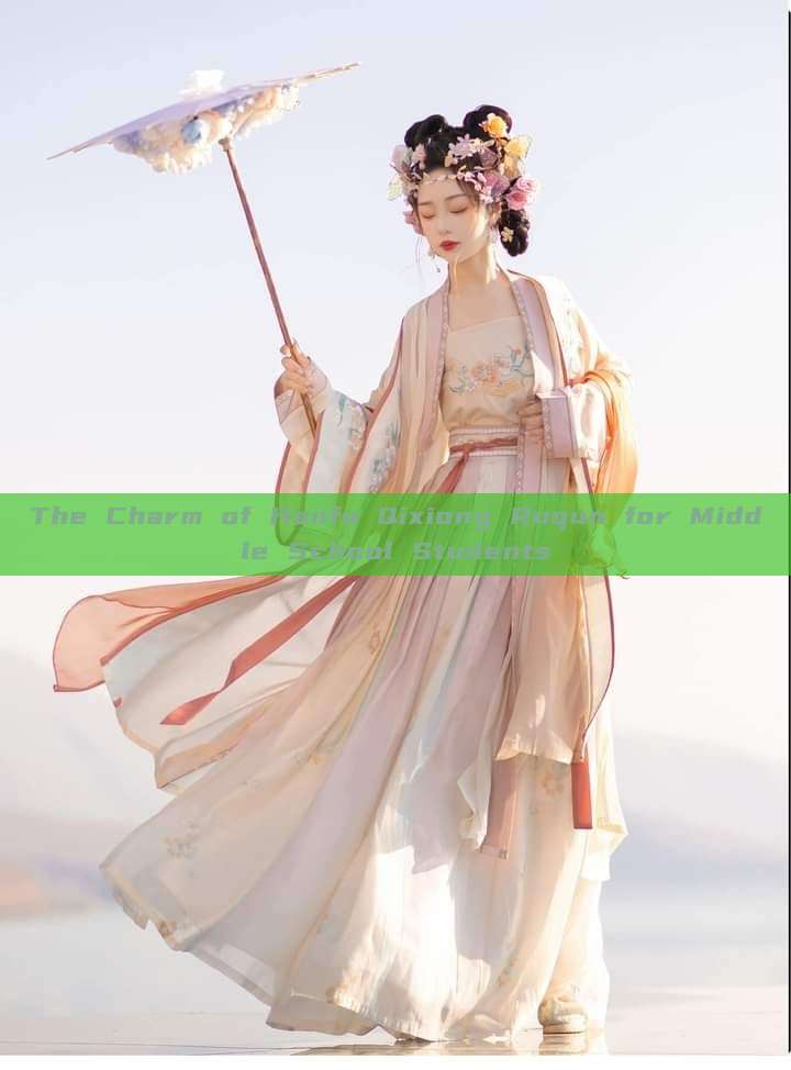 The Charm of Hanfu Qixiong Ruqun for Middle School Students The Charm of Hanfu Qixiong Ruqun for Middle School Students