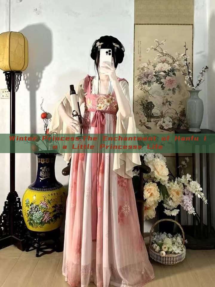 Winter Princess:The Enchantment of Hanfu in a Little Princesss Life Winter Princess:The Enchantment of Hanfu in a Little Princesss Life