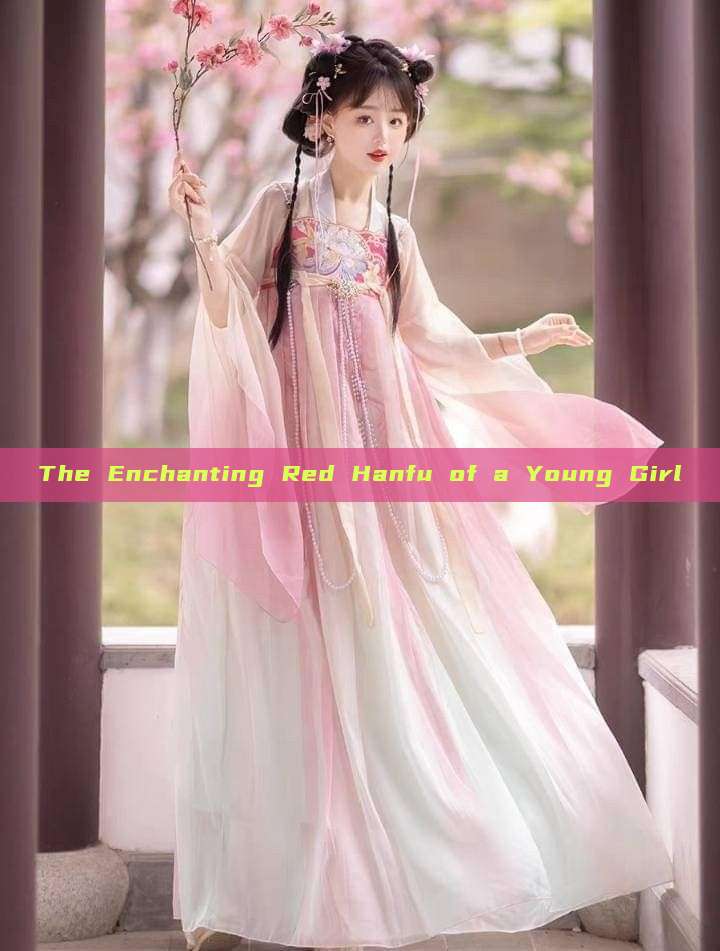 The Enchanting Red Hanfu of a Young Girl The Enchanting Red Hanfu of a Young Girl