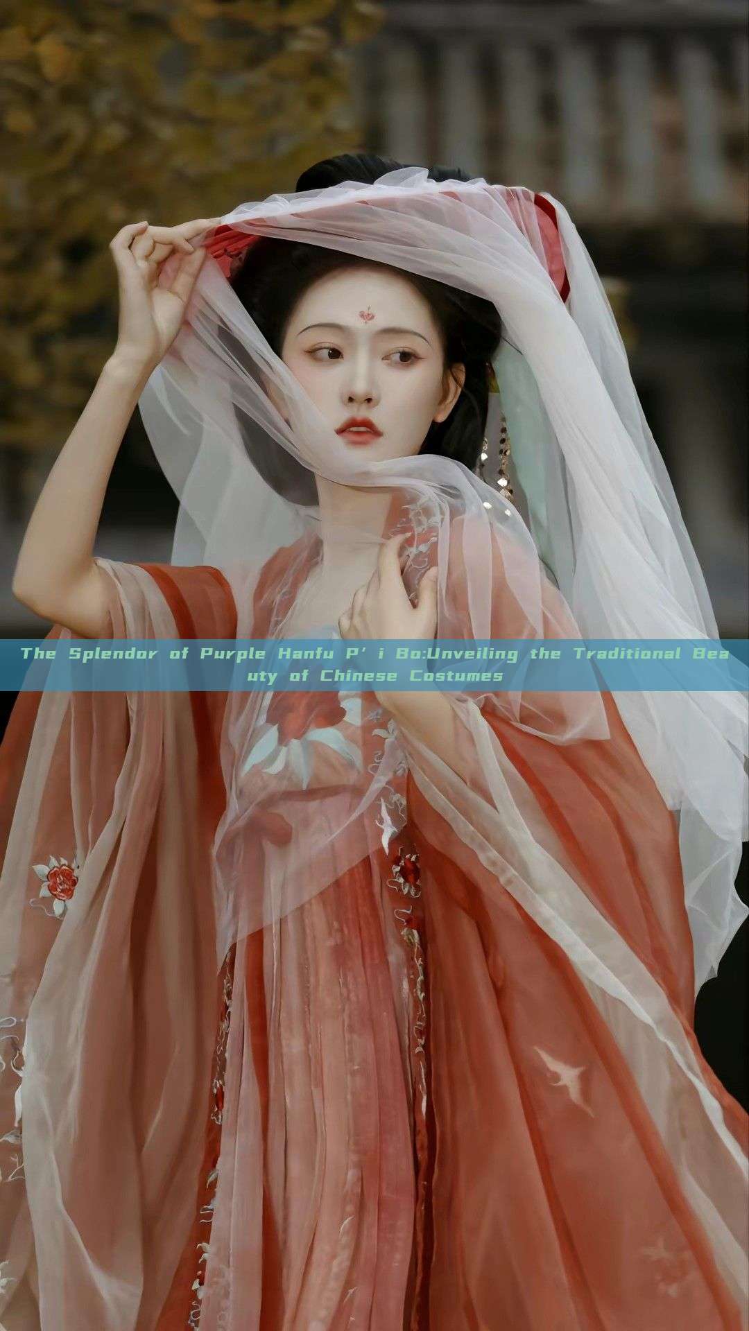 The Splendor of Purple Hanfu P’i Bo:Unveiling the Traditional Beauty of Chinese Costumes