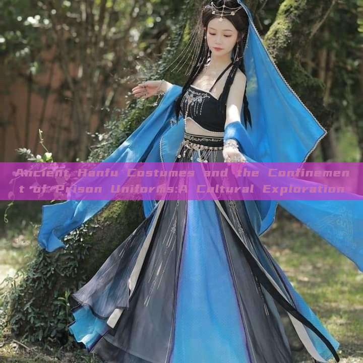 Ancient Hanfu Costumes and the Confinement of Prison Uniforms:A Cultural Exploration