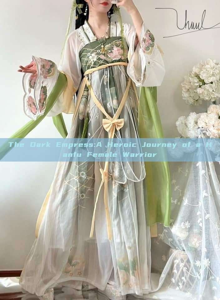 The Dark Empress:A Heroic Journey of a Hanfu Female Warrior