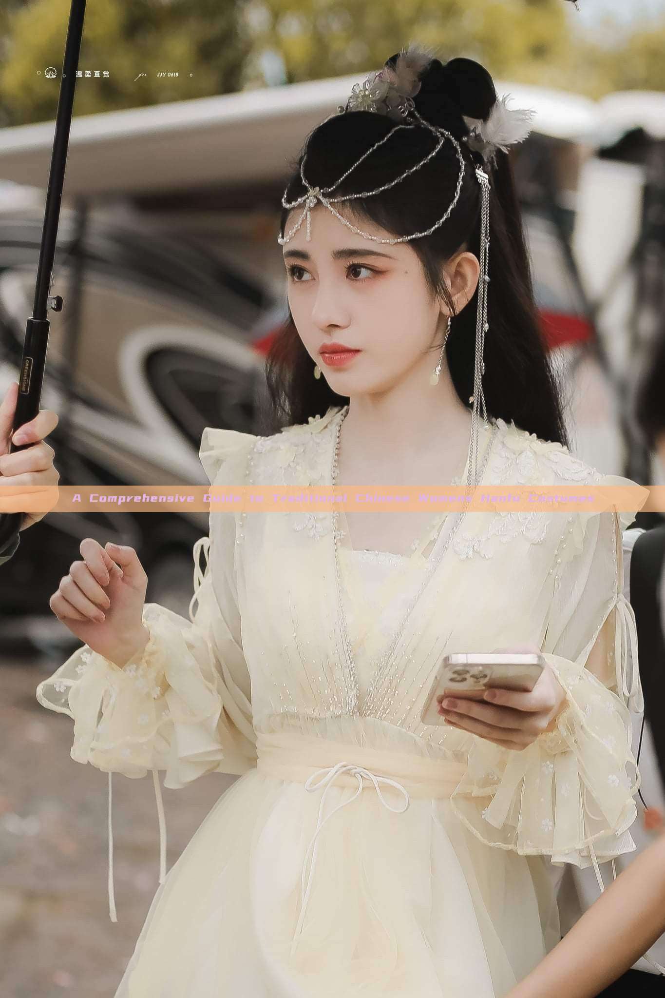 A Comprehensive Guide to Traditional Chinese Womens Hanfu Costumes