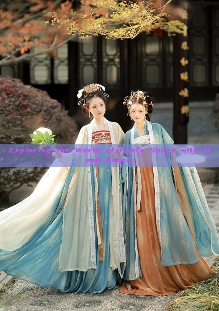 Exploring the World of Hanfu Shoes with Mesh Fabric