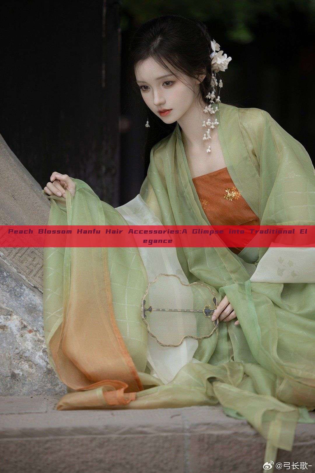 Peach Blossom Hanfu Hair Accessories:A Glimpse into Traditional Elegance