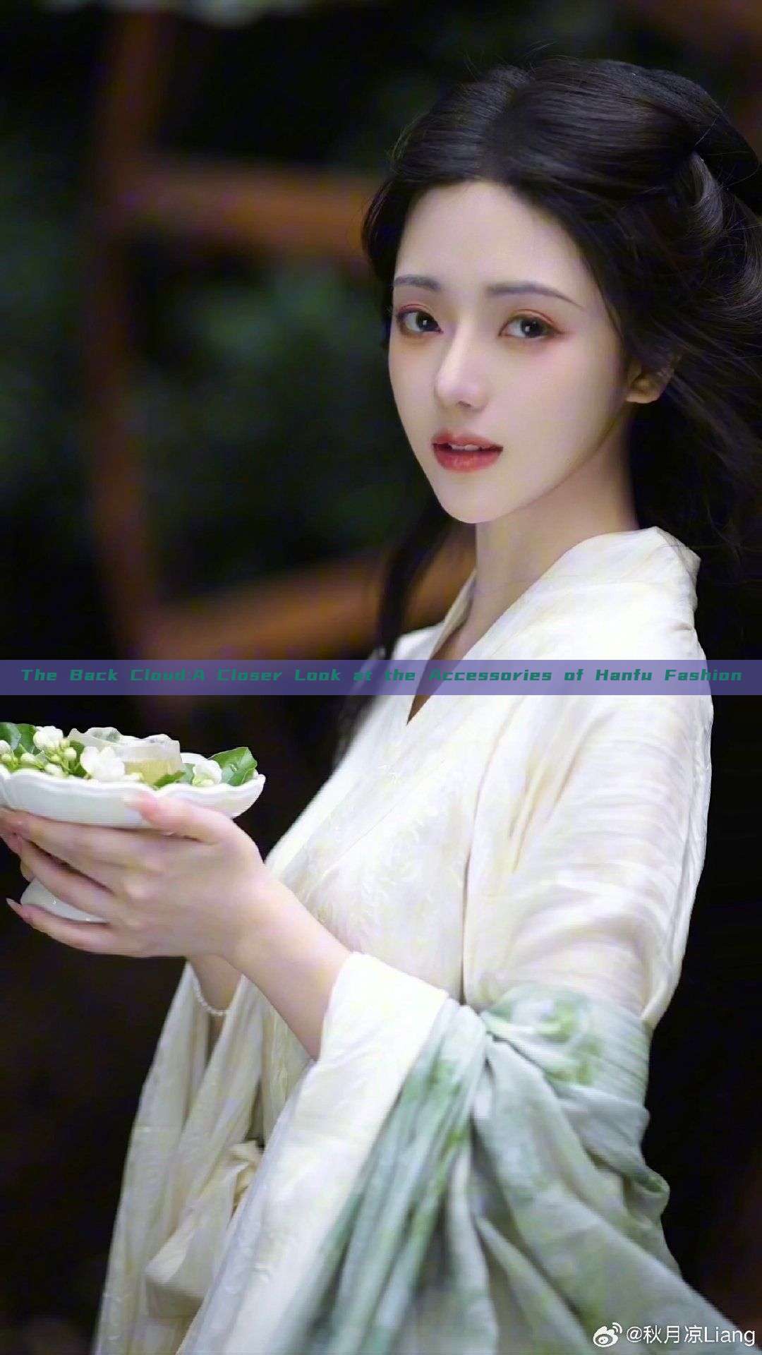 The Back Cloud:A Closer Look at the Accessories of Hanfu Fashion