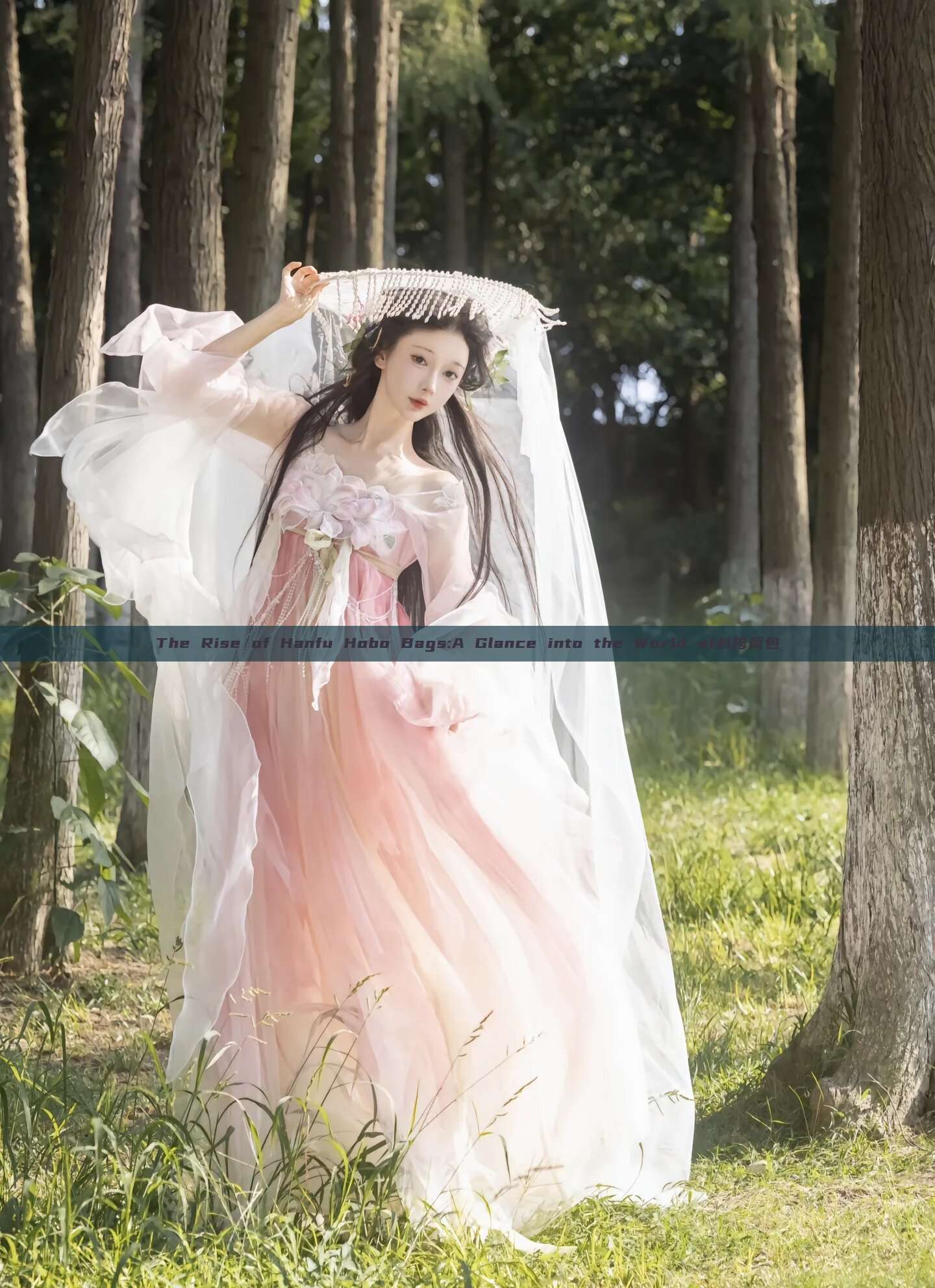 The Rise of Hanfu Hobo Bags:A Glance into the World of斜挎荷包 The Rise of Hanfu Hobo Bags:A Glance into the World of斜挎荷包
