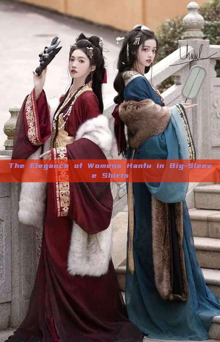 The Elegance of Womens Hanfu in Big-Sleeve Shirts