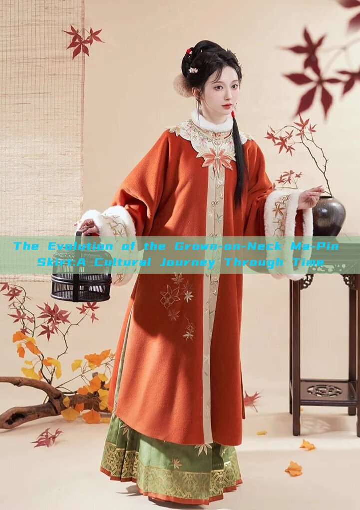 The Evolution of the Grown-on-Neck Ma-Pin Skirt:A Cultural Journey Through Time