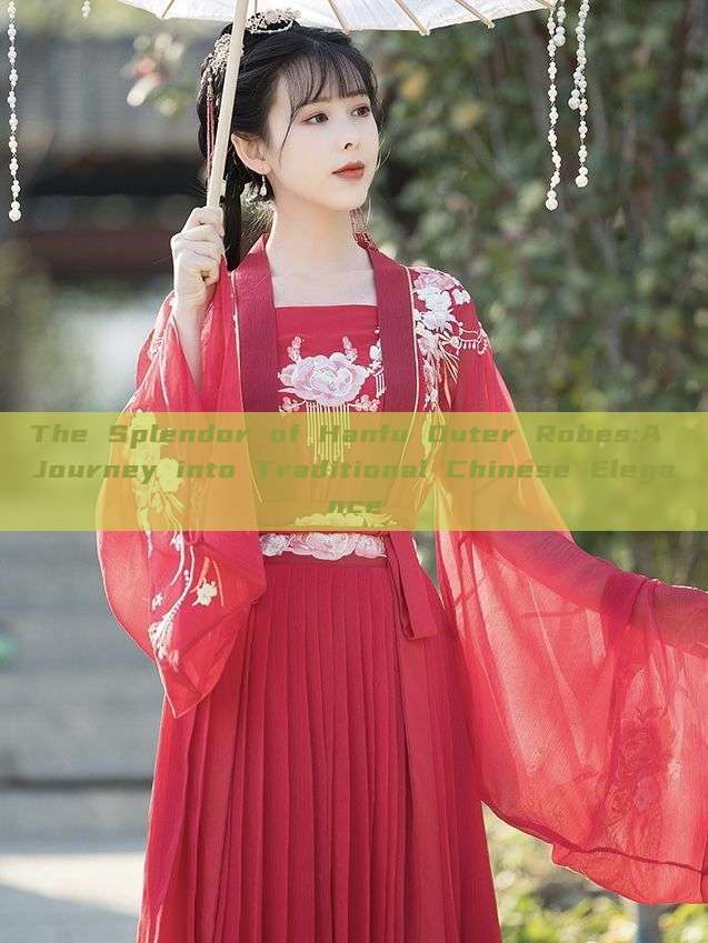 The Splendor of Hanfu Outer Robes:A Journey into Traditional Chinese Elegance