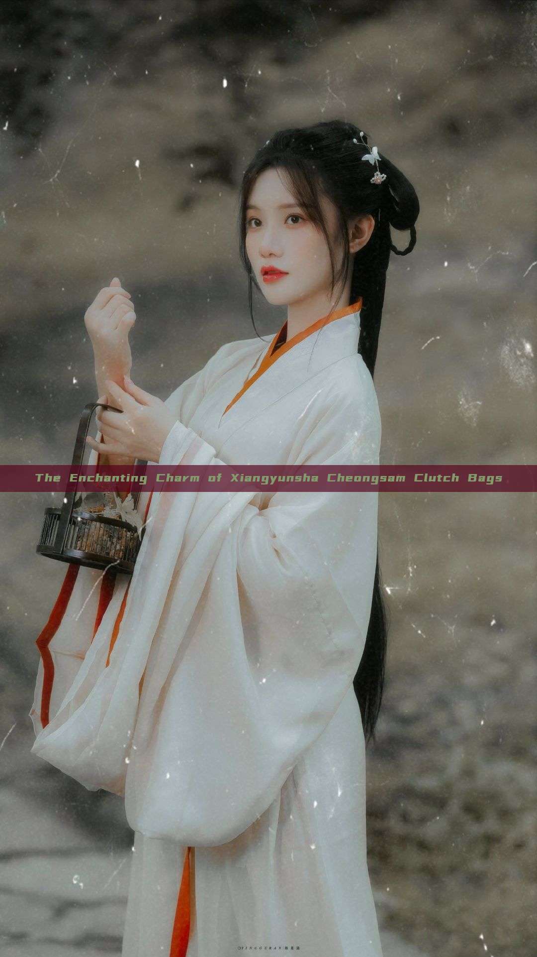 The Enchanting Charm of Xiangyunsha Cheongsam Clutch Bags