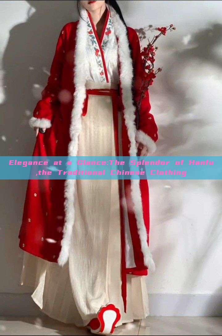 Elegance at a Glance:The Splendor of Hanfu,the Traditional Chinese Clothing