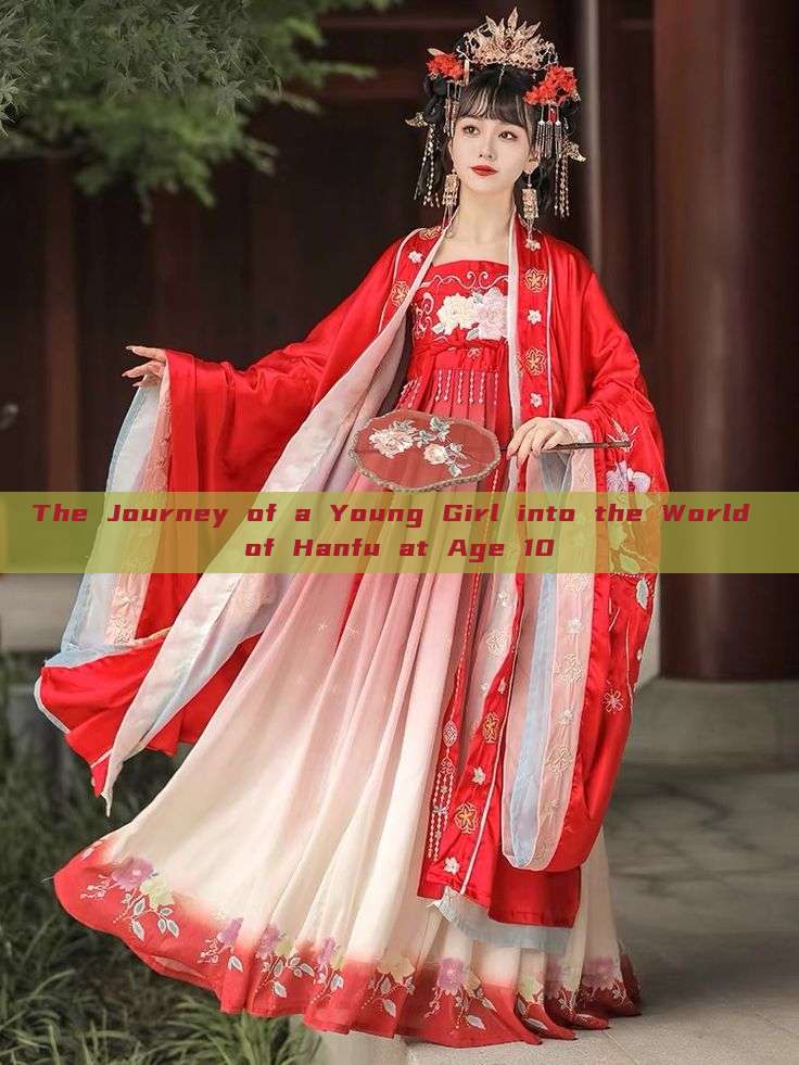 The Journey of a Young Girl into the World of Hanfu at Age 10