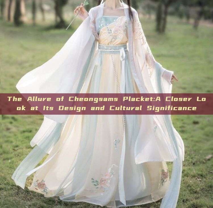 The Allure of Cheongsams Placket:A Closer Look at Its Design and Cultural Significance