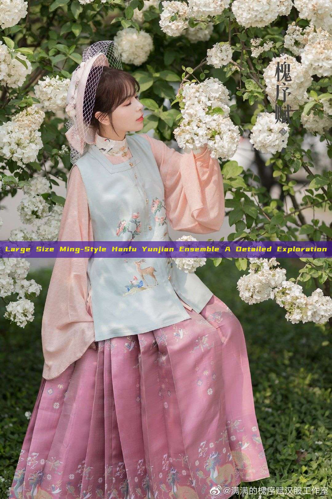 Large Size Ming-Style Hanfu Yunjian Ensemble A Detailed Exploration