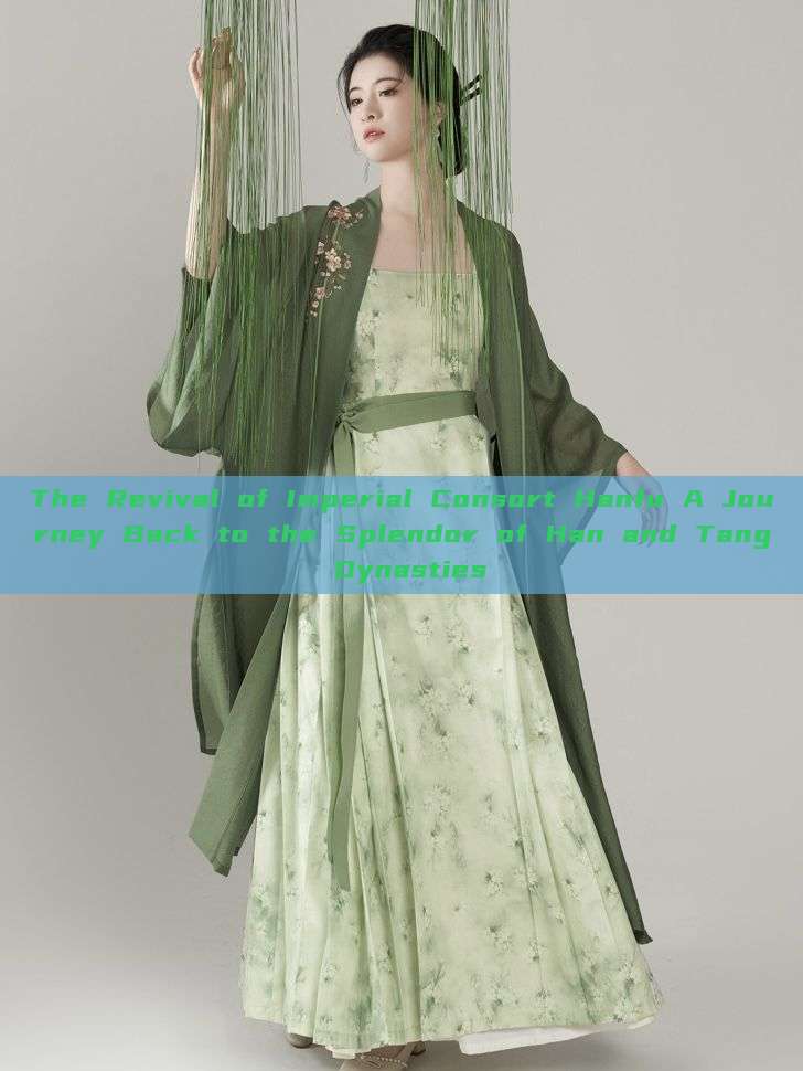 The Revival of Imperial Consort Hanfu A Journey Back to the Splendor of Han and Tang Dynasties