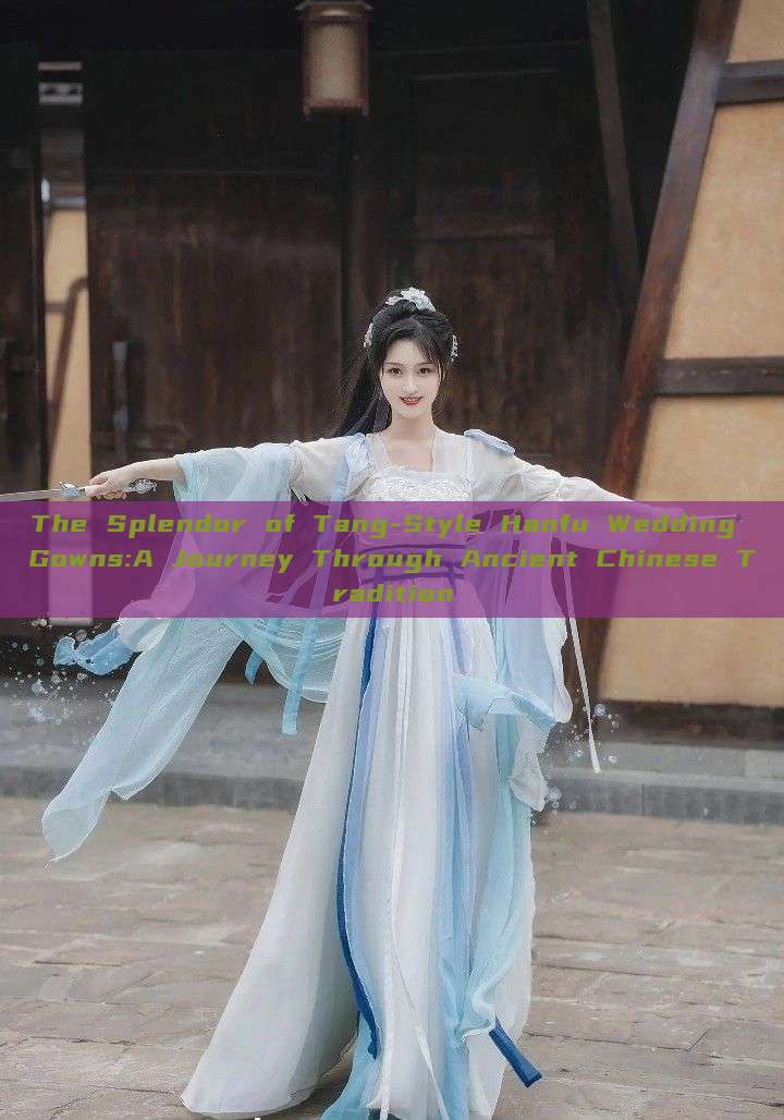 The Splendor of Tang-Style Hanfu Wedding Gowns:A Journey Through Ancient Chinese Tradition