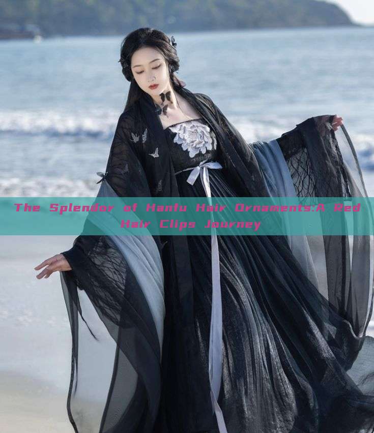The Splendor of Hanfu Hair Ornaments:A Red Hair Clips Journey