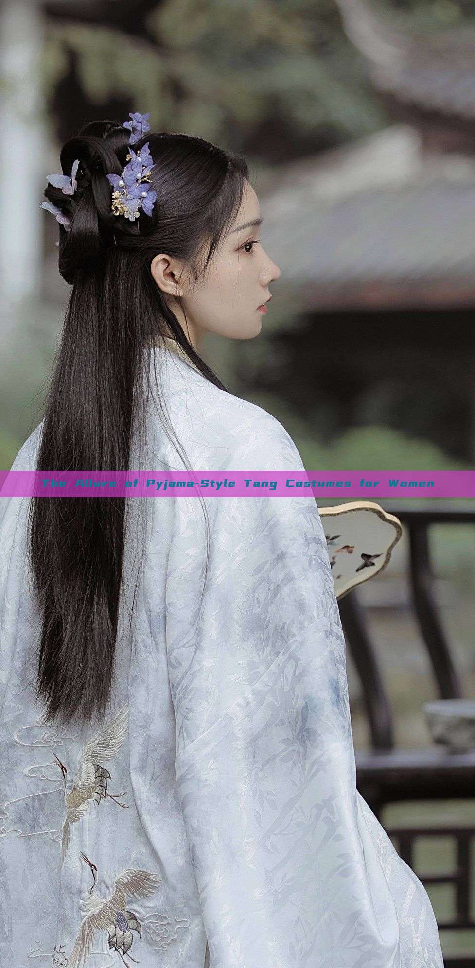 The Allure of Pyjama-Style Tang Costumes for Women