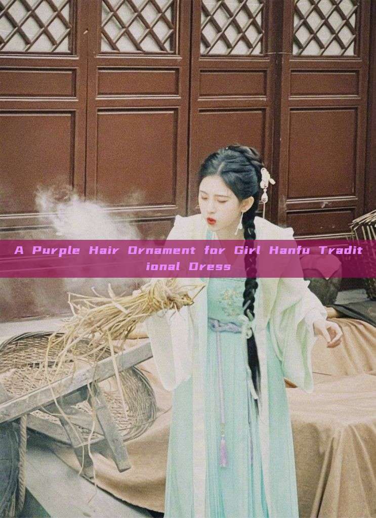 A Purple Hair Ornament for Girl Hanfu Traditional Dress