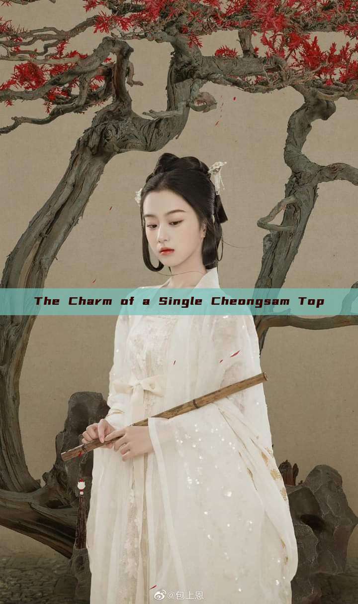 The Charm of a Single Cheongsam Top