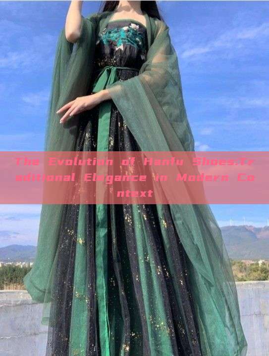 The Evolution of Hanfu Shoes:Traditional Elegance in Modern Context The Evolution of Hanfu Shoes:Traditional Elegance in Modern Context