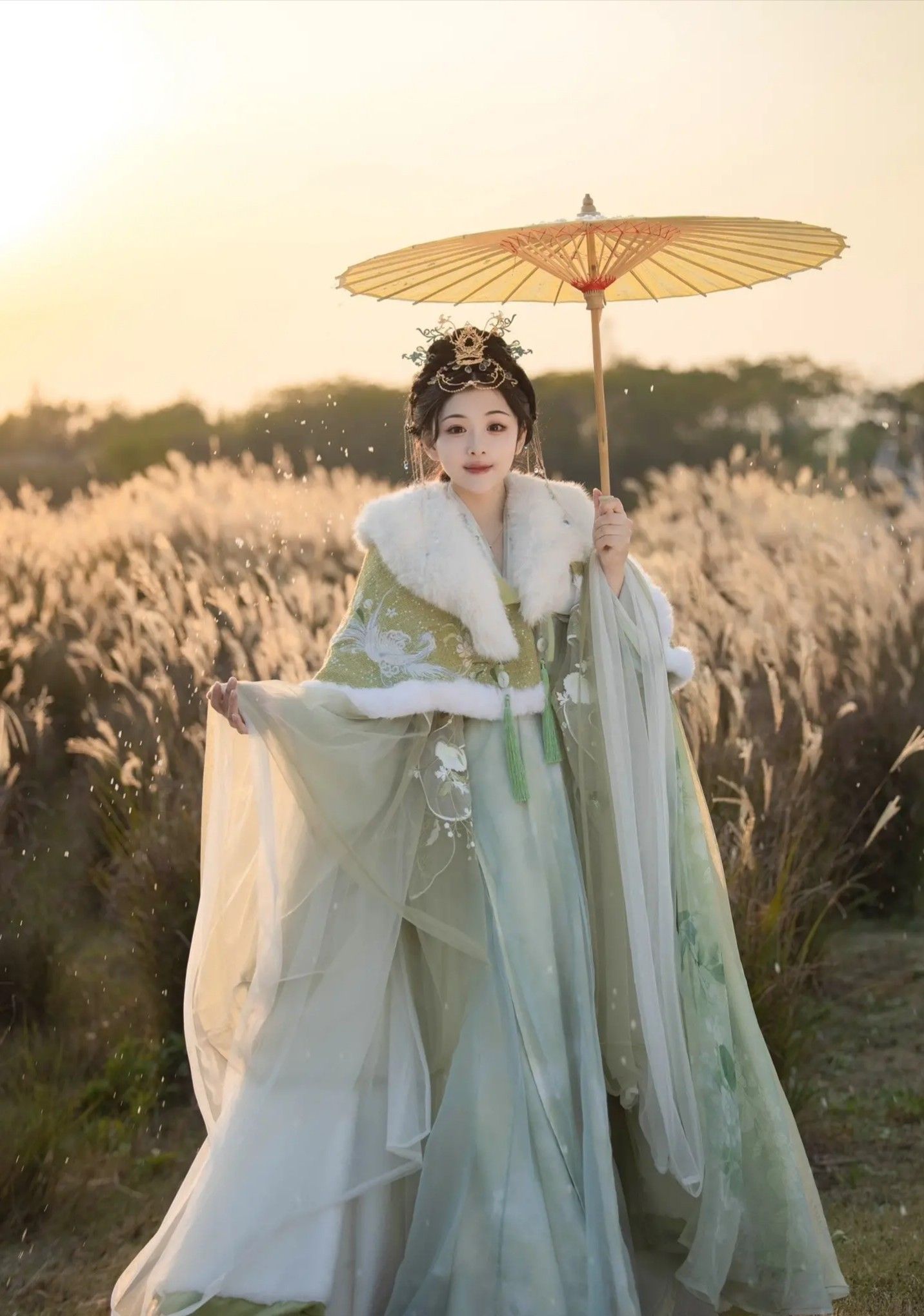 The Allure of Traditional Hanfu Hair Accessories:Tassel Side Combs The Allure of Traditional Hanfu Hair Accessories:Tassel Side Combs