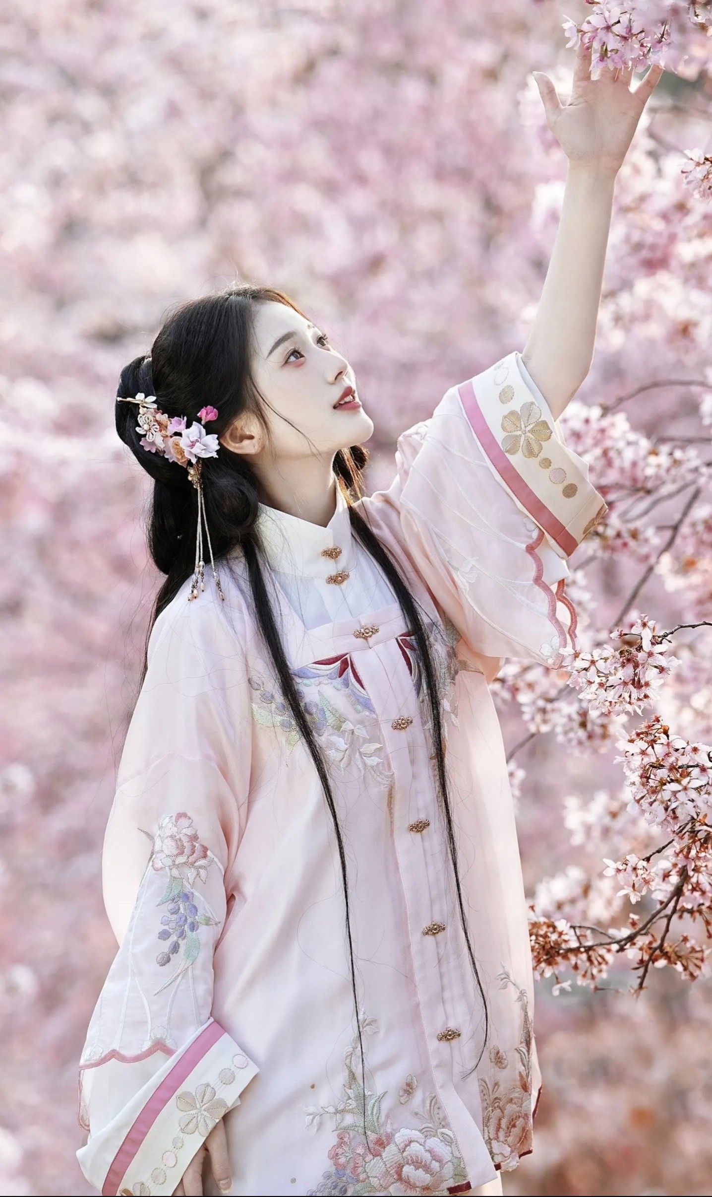 Elegance of the Evening Gown:Qipao and the Love Letters of the Republic Era Elegance of the Evening Gown:Qipao and the Love Letters of the Republic Era