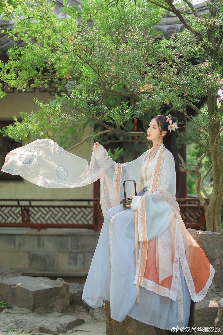 The Evolution of Hansfu Back Basket:A Cultural Journey Through Traditional Chinese Clothing