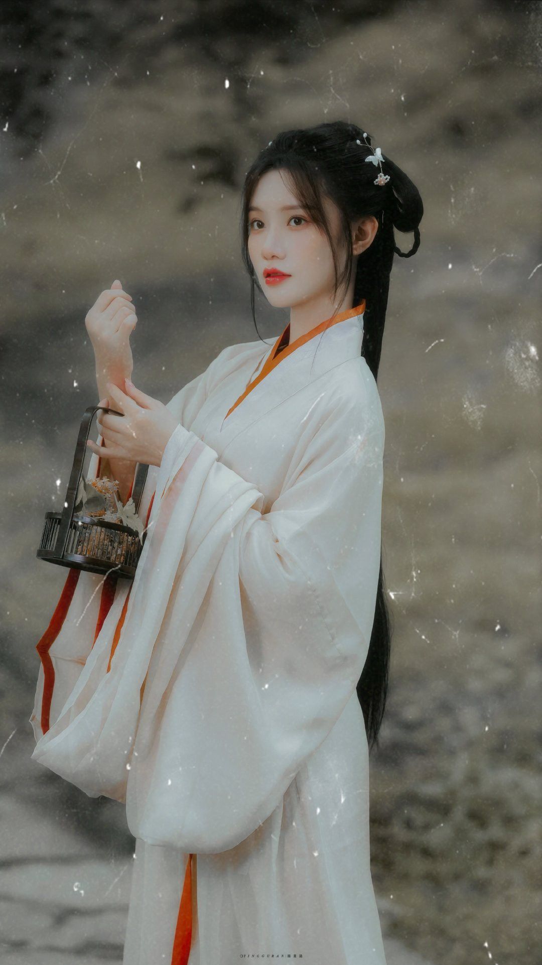 Womens Autumn-Winter Hanfu Song Style:A Guide to Traditional Elegance Womens Autumn-Winter Hanfu Song Style:A Guide to Traditional Elegance