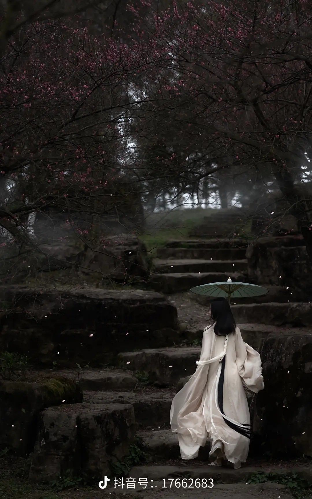 Enchanting Ancient Hanfu Dress for Girls Long-sleeved Fairy-like Elegance
