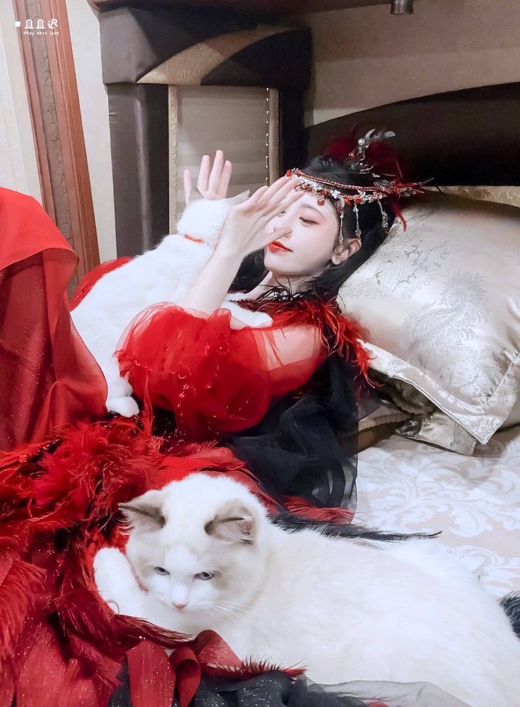 Sexy Sleepwear:The Rise of Hanfu-Style pajamas in Modern Fashion