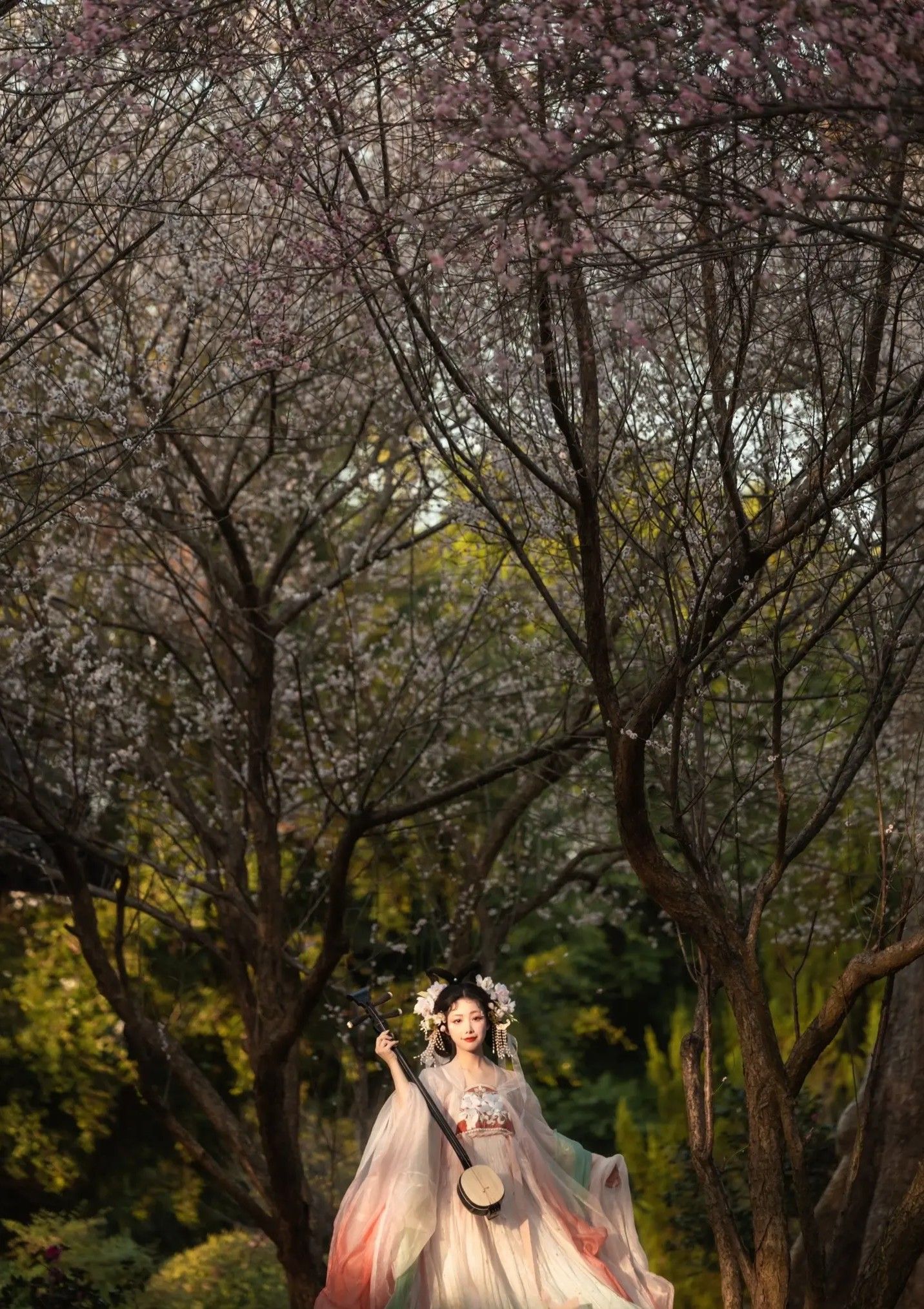 Exploring the Beauty of Plus-Size Hanfu Chezi Skirts:A Journey into Traditional Chinese Elegance