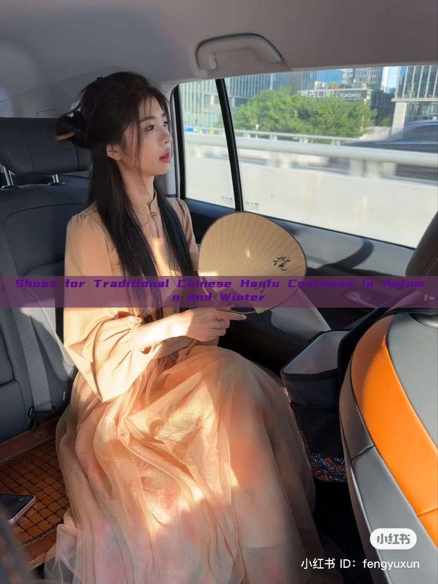 Shoes for Traditional Chinese Hanfu Costumes in Autumn and Winter