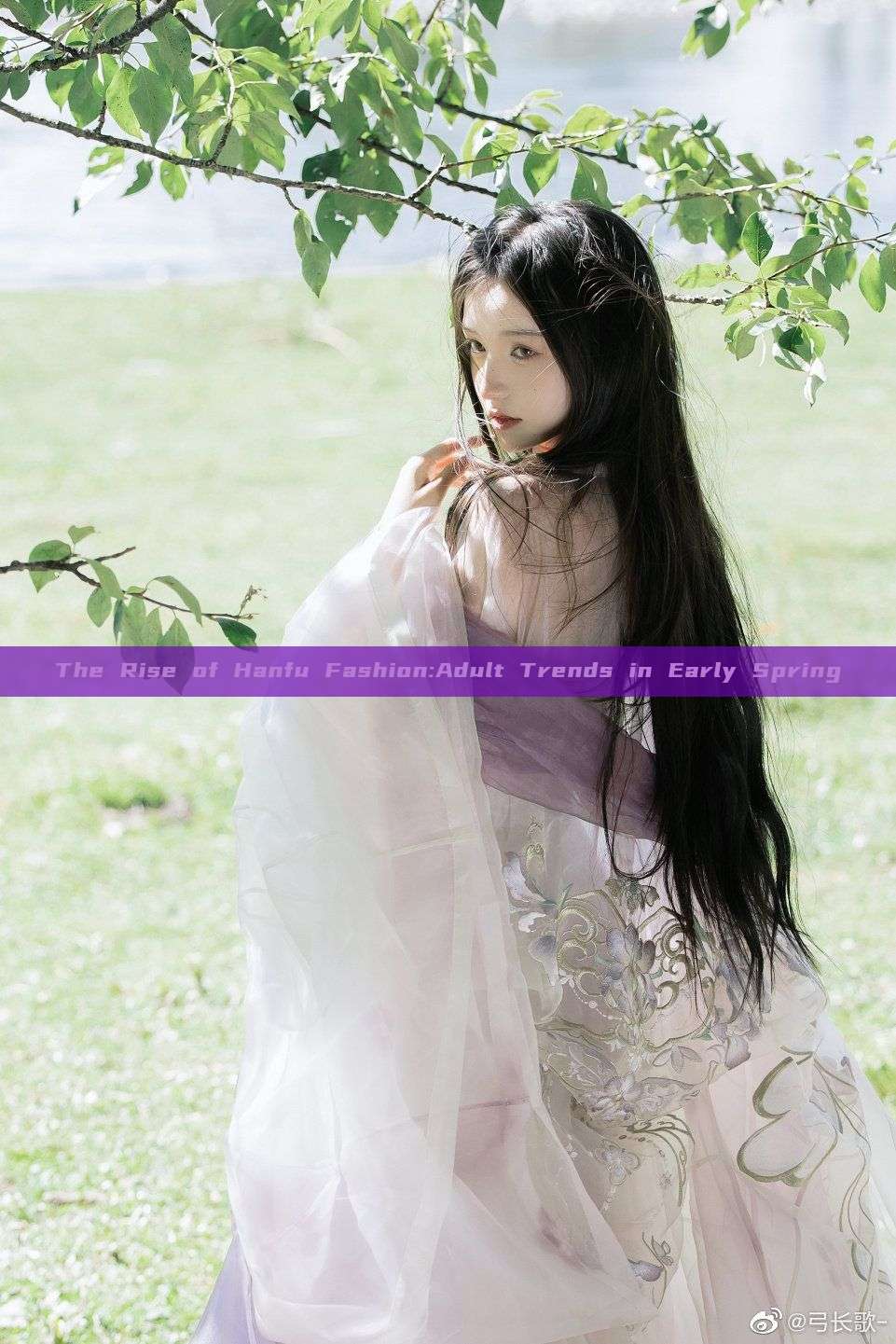 The Rise of Hanfu Fashion:Adult Trends in Early Spring