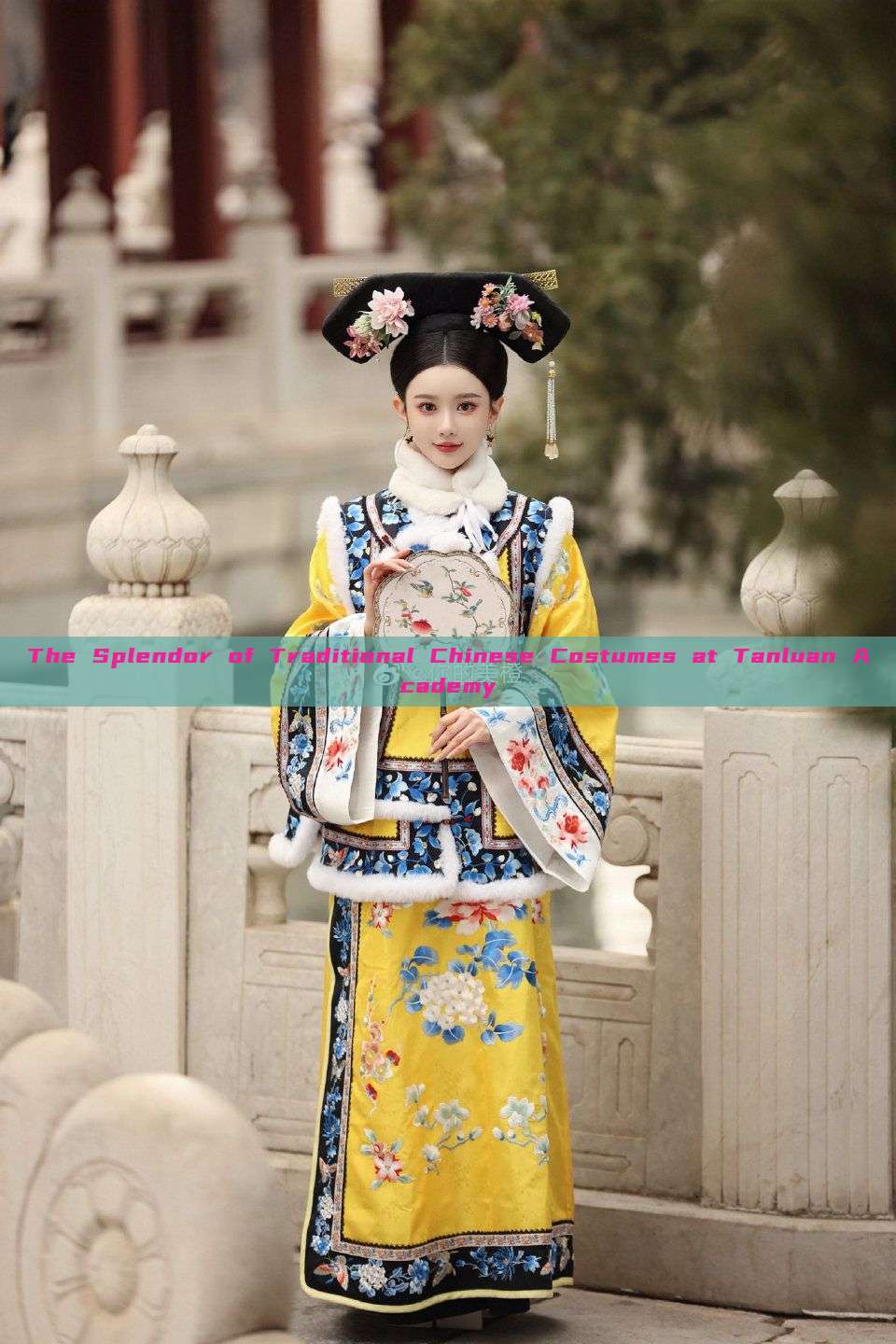 The Splendor of Traditional Chinese Costumes at Tanluan Academy The Splendor of Traditional Chinese Costumes at Tanluan Academy