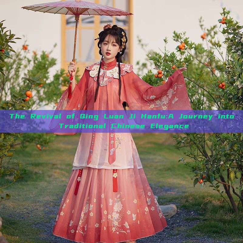 The Revival of Qing Luan Ji Hanfu:A Journey into Traditional Chinese Elegance