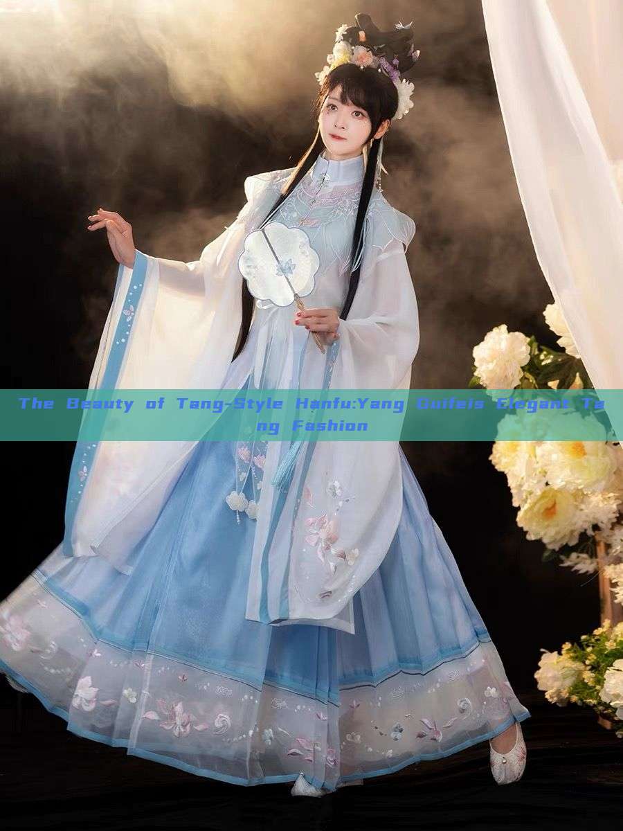 The Beauty of Tang-Style Hanfu:Yang Guifeis Elegant Tang Fashion The Beauty of Tang-Style Hanfu:Yang Guifeis Elegant Tang Fashion