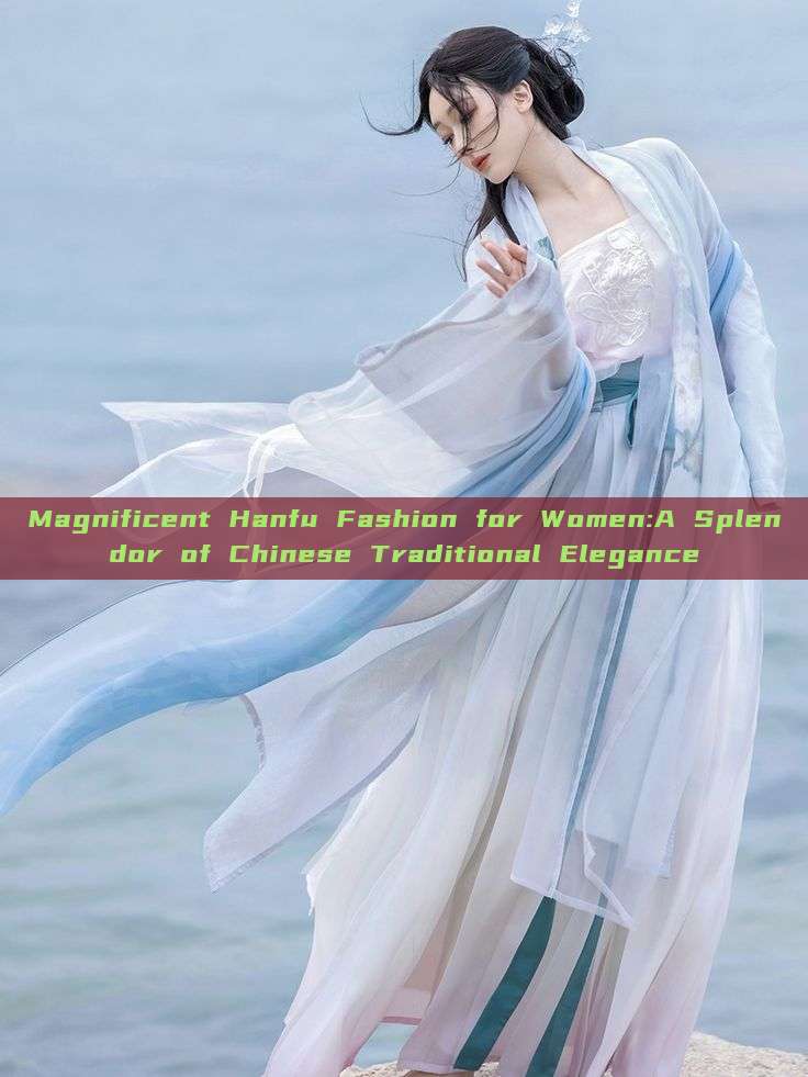 Magnificent Hanfu Fashion for Women:A Splendor of Chinese Traditional Elegance