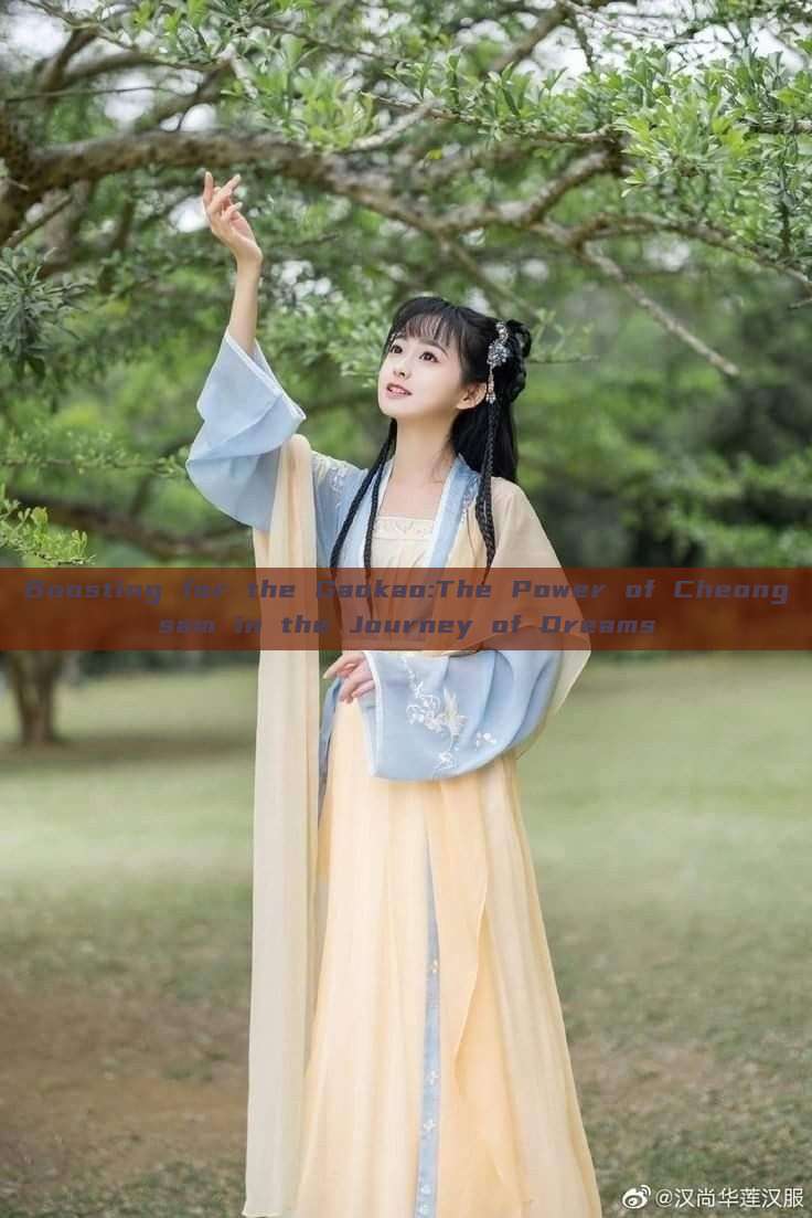 Boosting for the Gaokao:The Power of Cheongsam in the Journey of Dreams Boosting for the Gaokao:The Power of Cheongsam in the Journey of Dreams