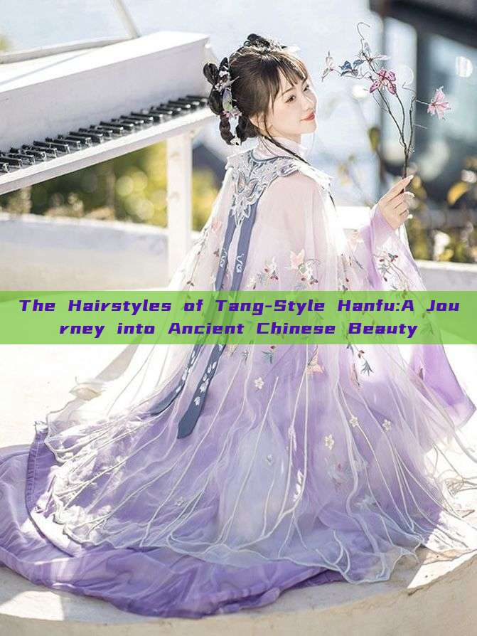 The Hairstyles of Tang-Style Hanfu:A Journey into Ancient Chinese Beauty The Hairstyles of Tang-Style Hanfu:A Journey into Ancient Chinese Beauty