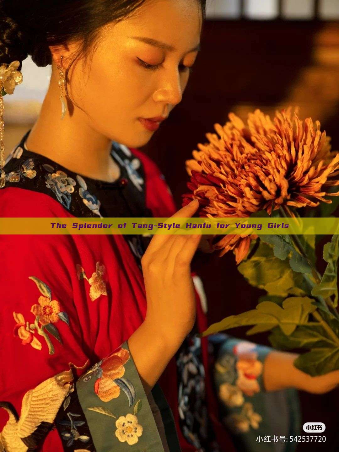 The Splendor of Tang-Style Hanfu for Young Girls