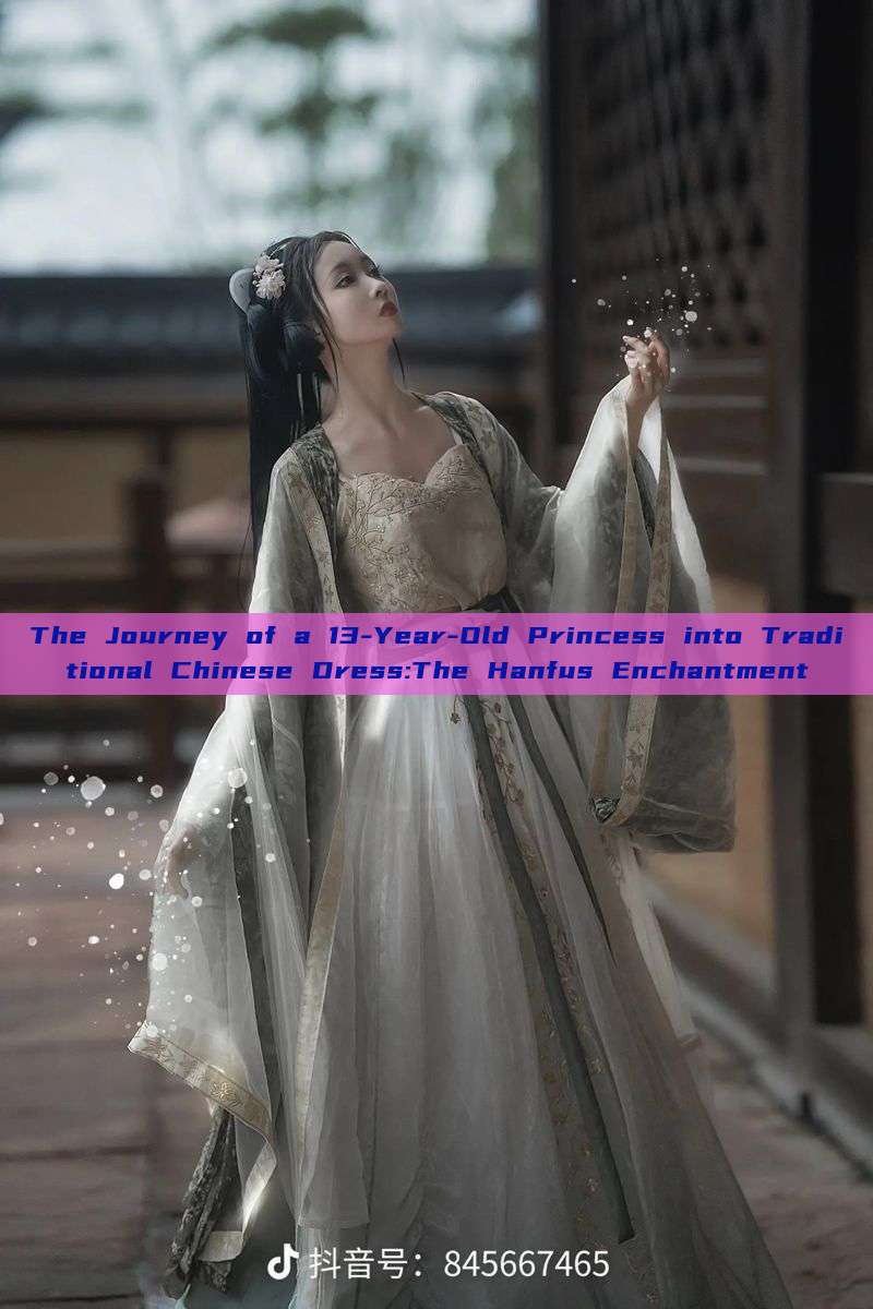 The Journey of a 13-Year-Old Princess into Traditional Chinese Dress:The Hanfus Enchantment The Journey of a 13-Year-Old Princess into Traditional Chinese Dress:The Hanfus Enchantment