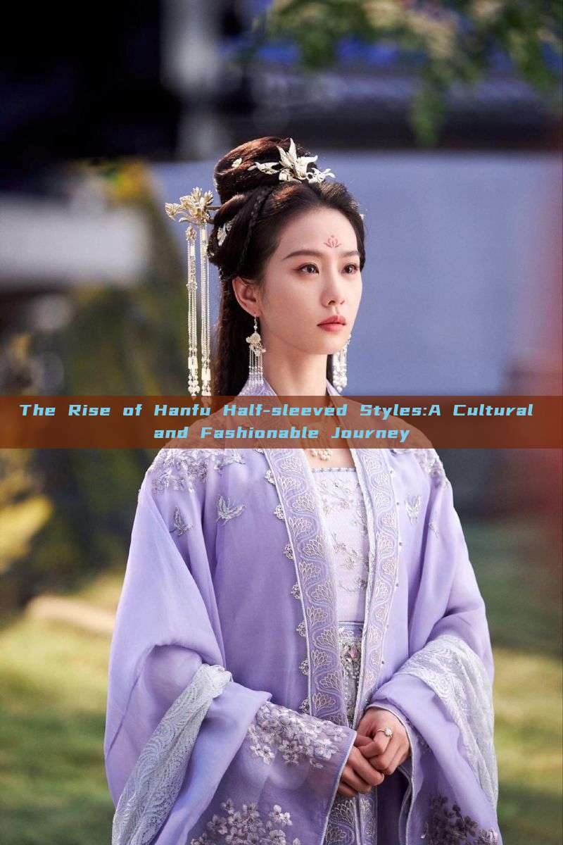 The Rise of Hanfu Half-sleeved Styles:A Cultural and Fashionable Journey The Rise of Hanfu Half-sleeved Styles:A Cultural and Fashionable Journey