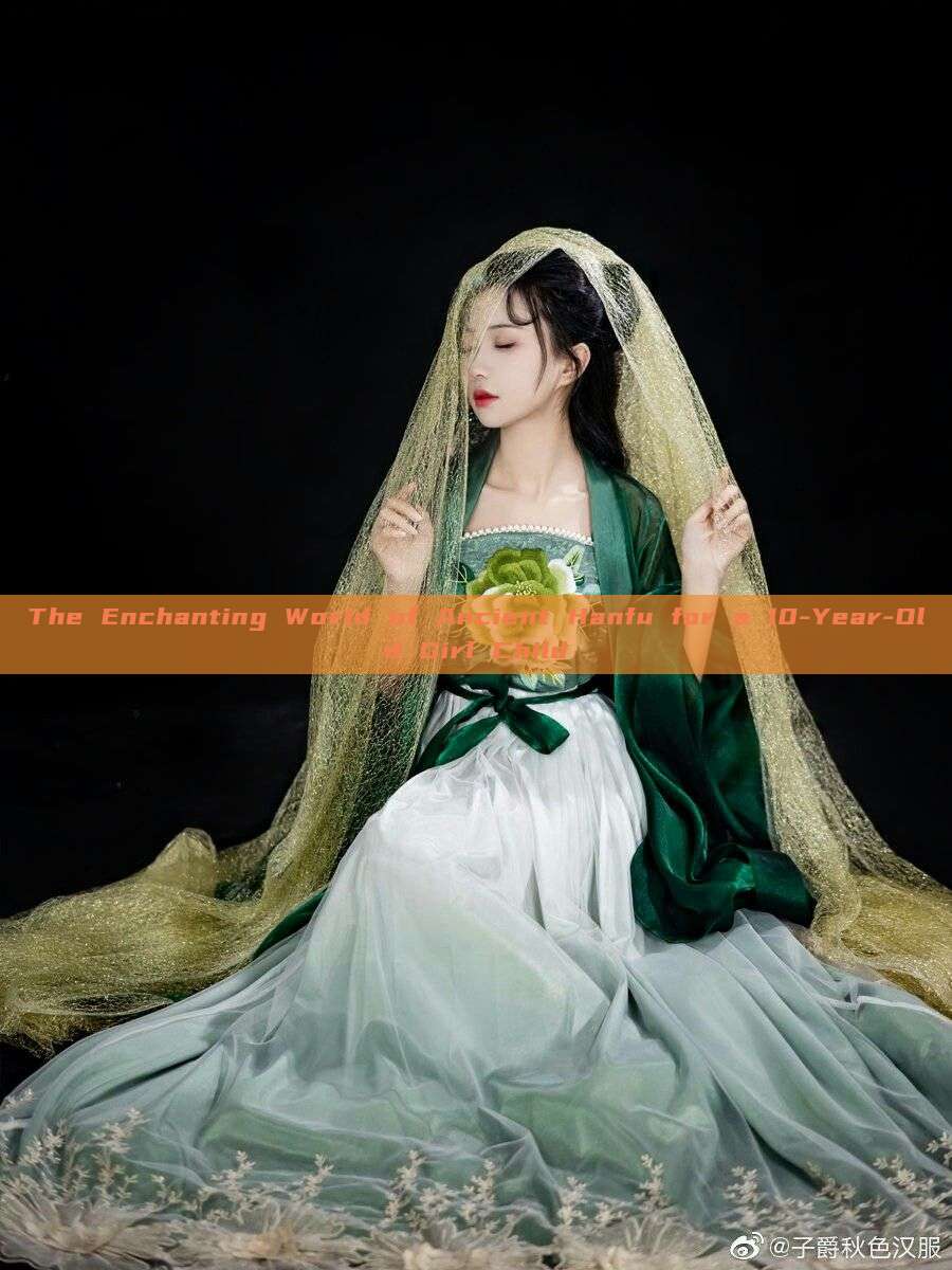 The Enchanting World of Ancient Hanfu for a 10-Year-Old Girl Child