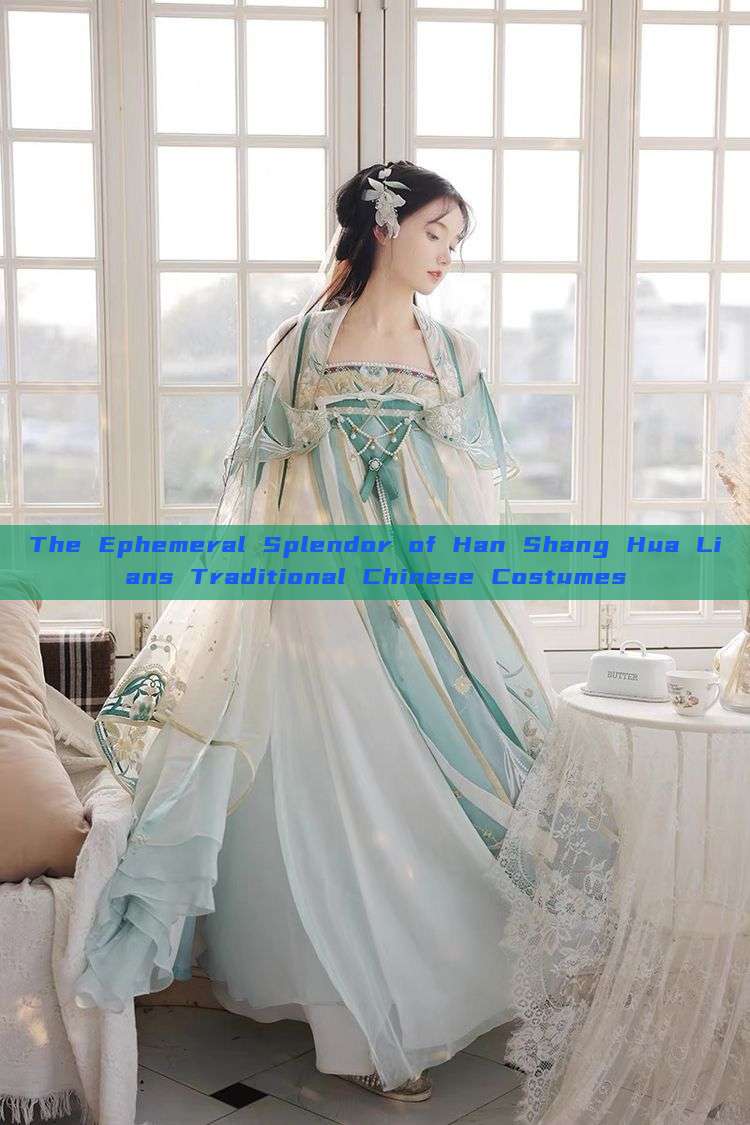 The Ephemeral Splendor of Han Shang Hua Lians Traditional Chinese Costumes The Ephemeral Splendor of Han Shang Hua Lians Traditional Chinese Costumes