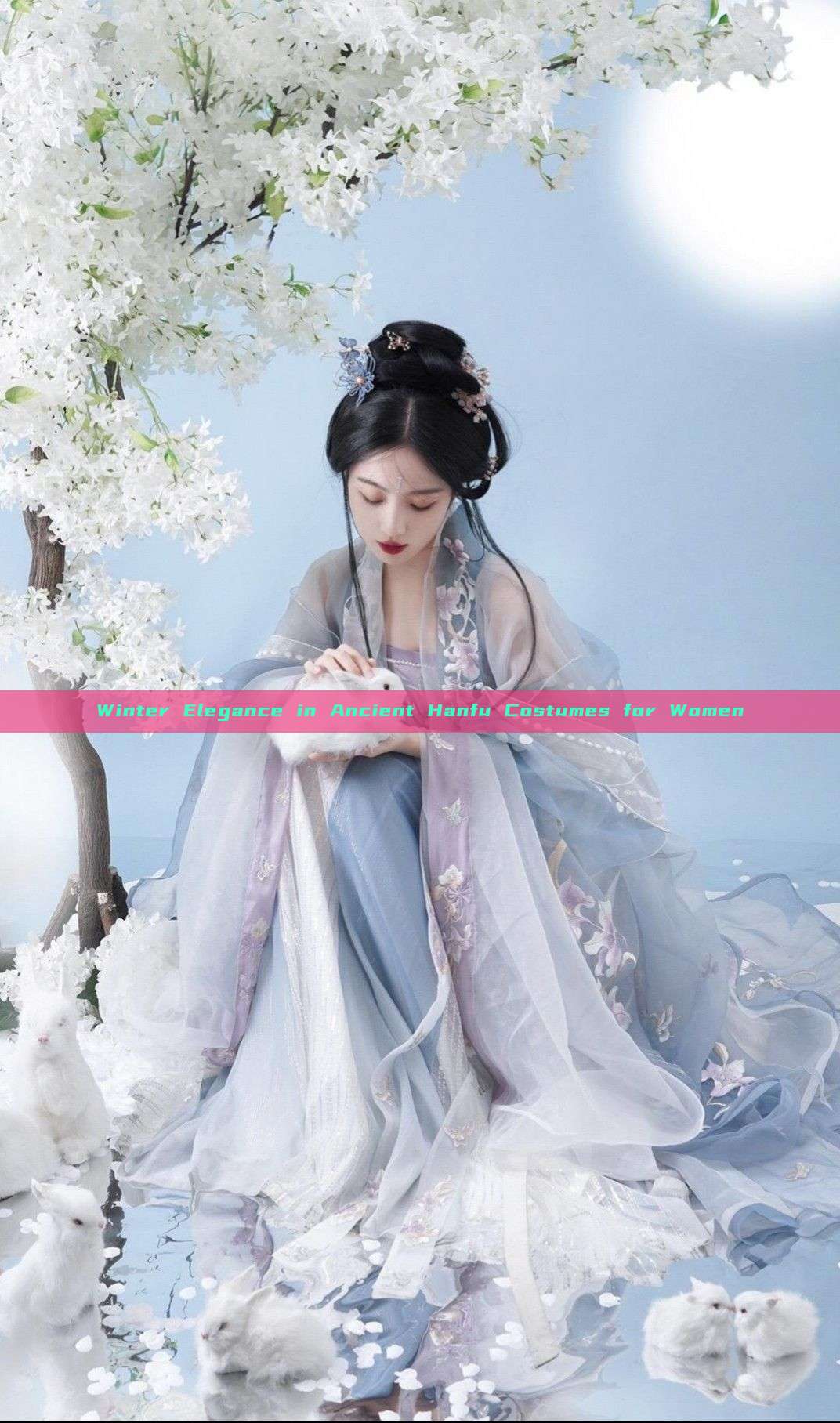 Winter Elegance in Ancient Hanfu Costumes for Women Winter Elegance in Ancient Hanfu Costumes for Women